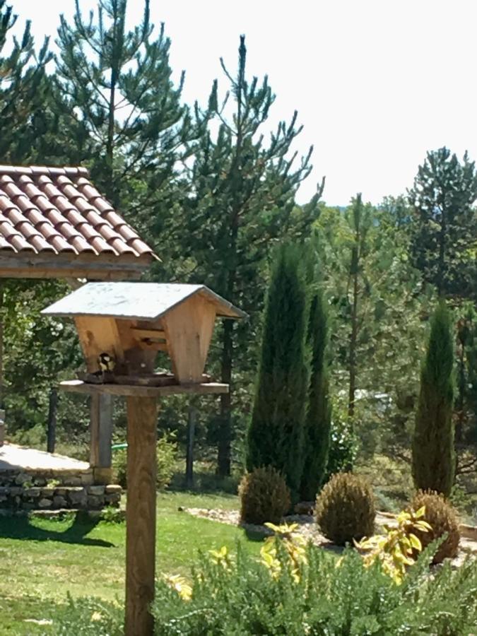 Bed and Breakfast Le Lion D'Or En Perigord Mauzac-et-Grand-Castang Экстерьер фото