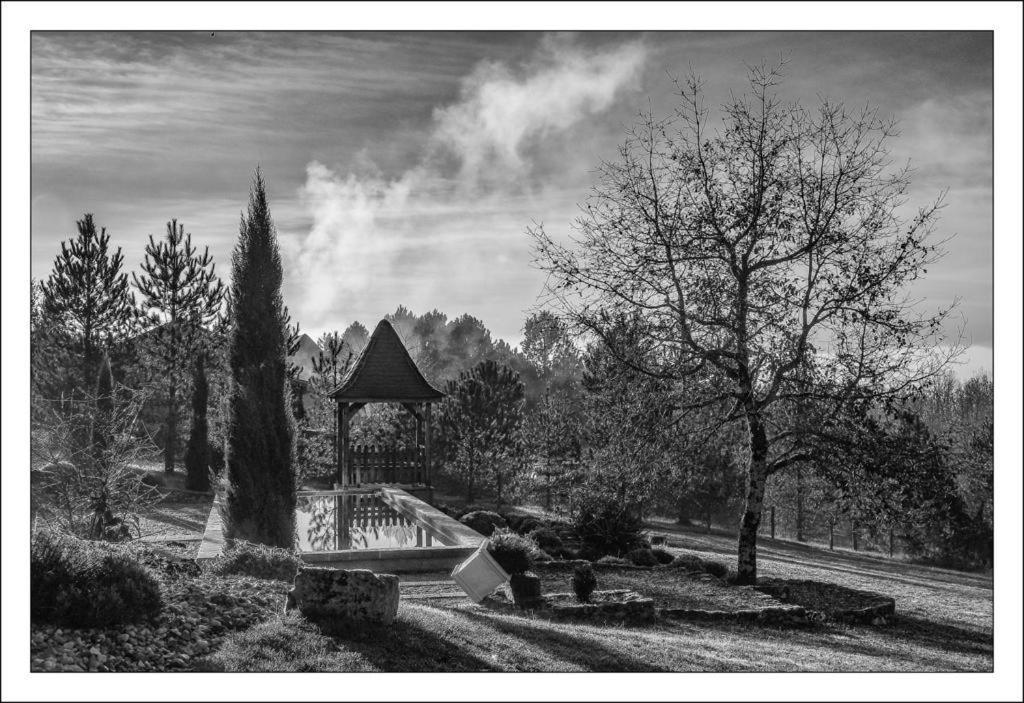 Bed and Breakfast Le Lion D'Or En Perigord Mauzac-et-Grand-Castang Экстерьер фото
