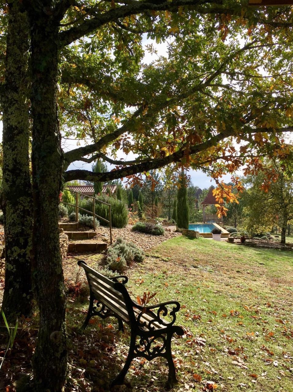 Bed and Breakfast Le Lion D'Or En Perigord Mauzac-et-Grand-Castang Экстерьер фото